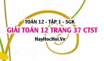 Giải Toán 12 trang 37 tập 1 Chân trời sáng tạo